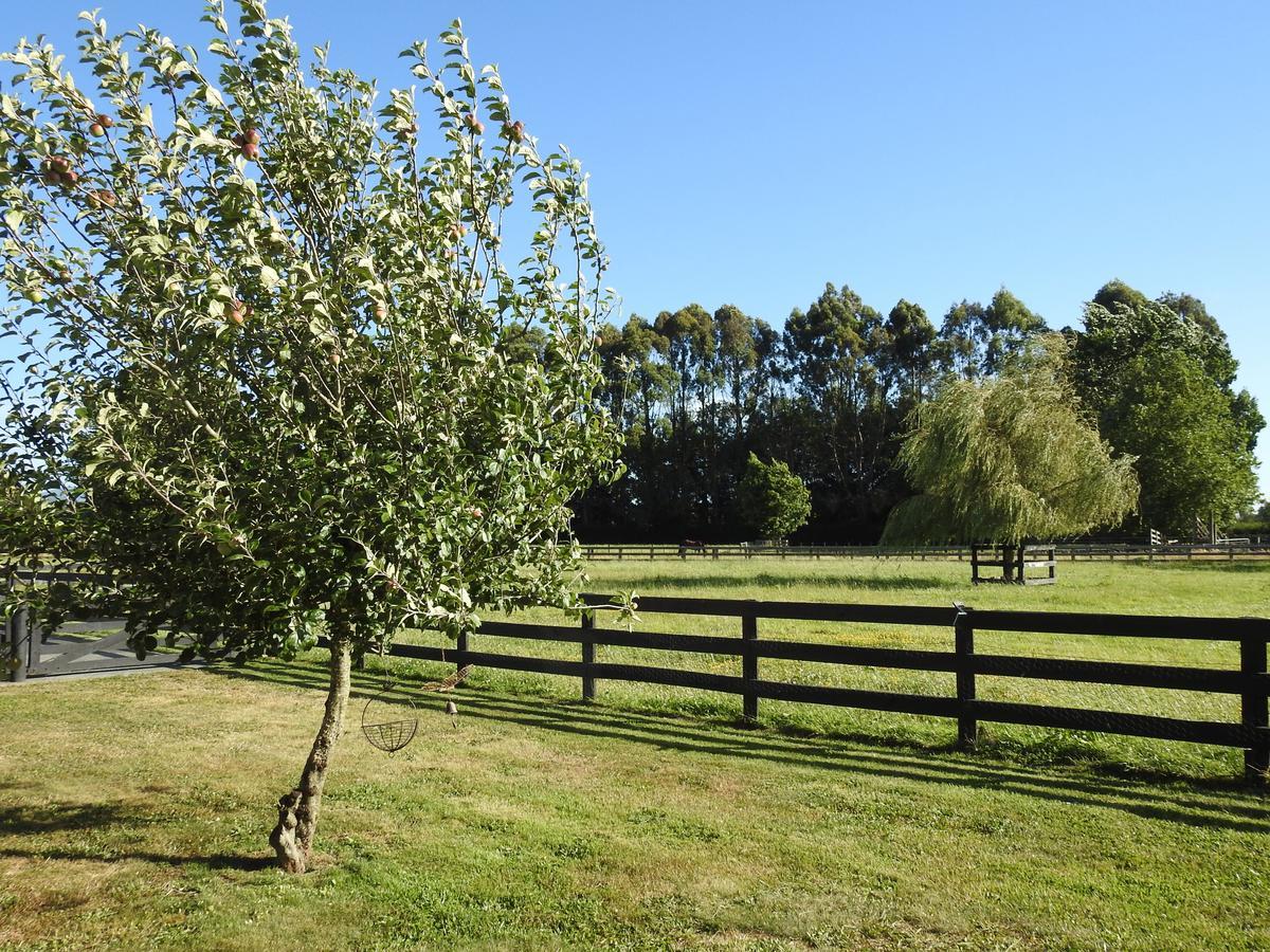 Grasslands Bed & Breakfast Cambridge Zewnętrze zdjęcie